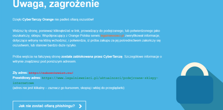 Informacja pojawiająca się po wejściu na fałszywy sklep internetowy